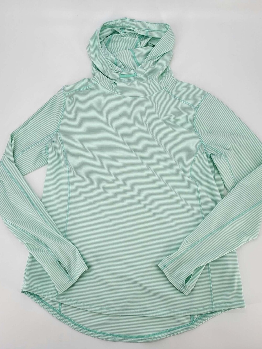 Duluth Trading Co Mint Stripe Hooded Pullover